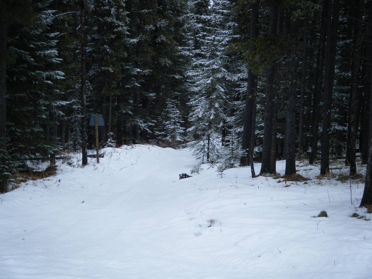 Quad_Feb_15_2010_003