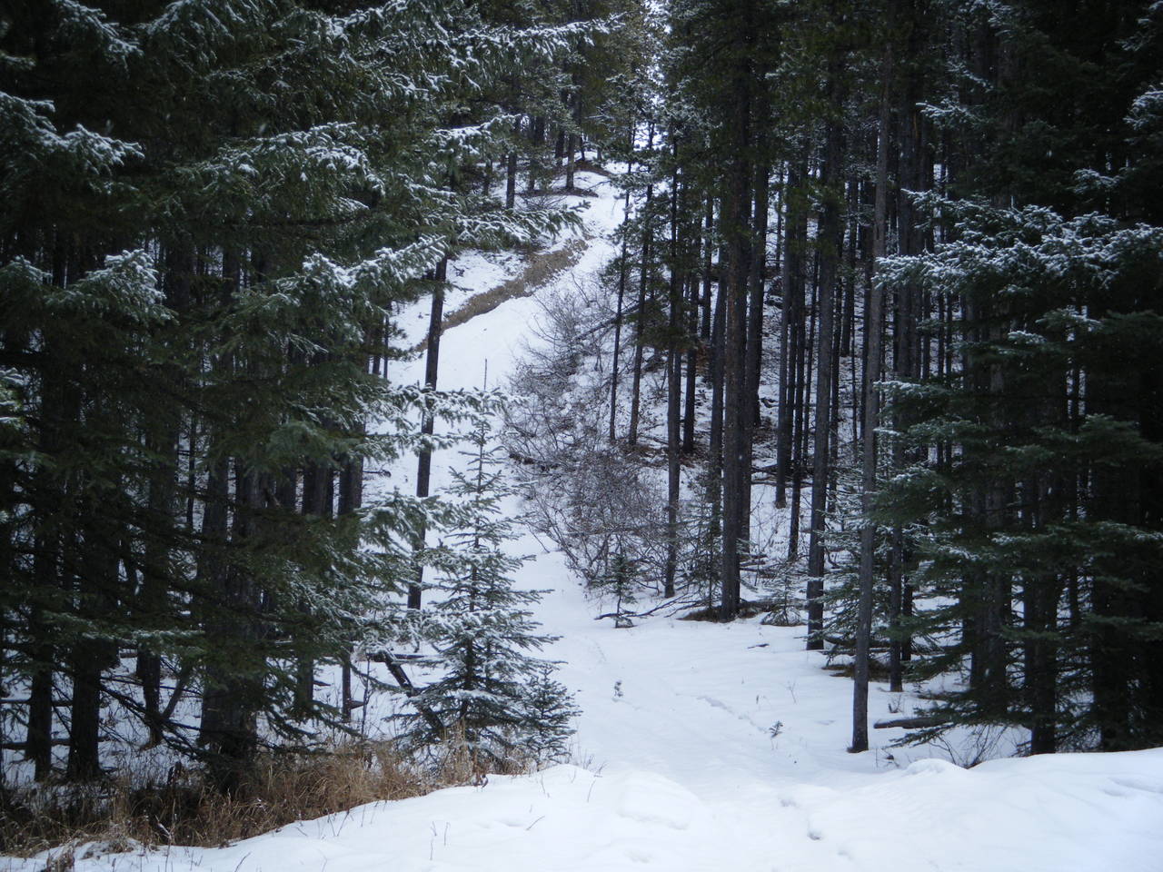 Quad_Feb_15_2010_004