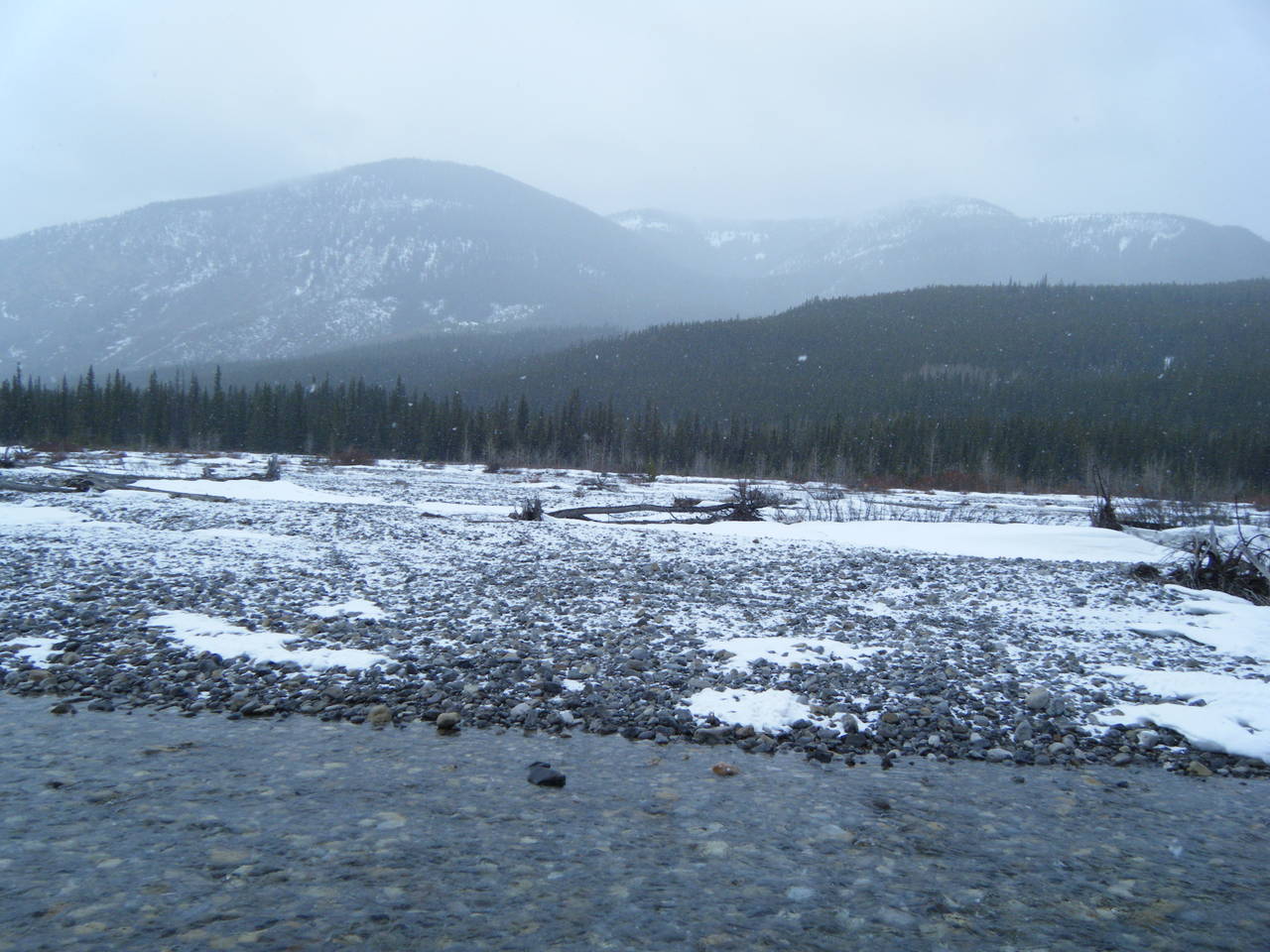 Quad_Feb_15_2010_010
