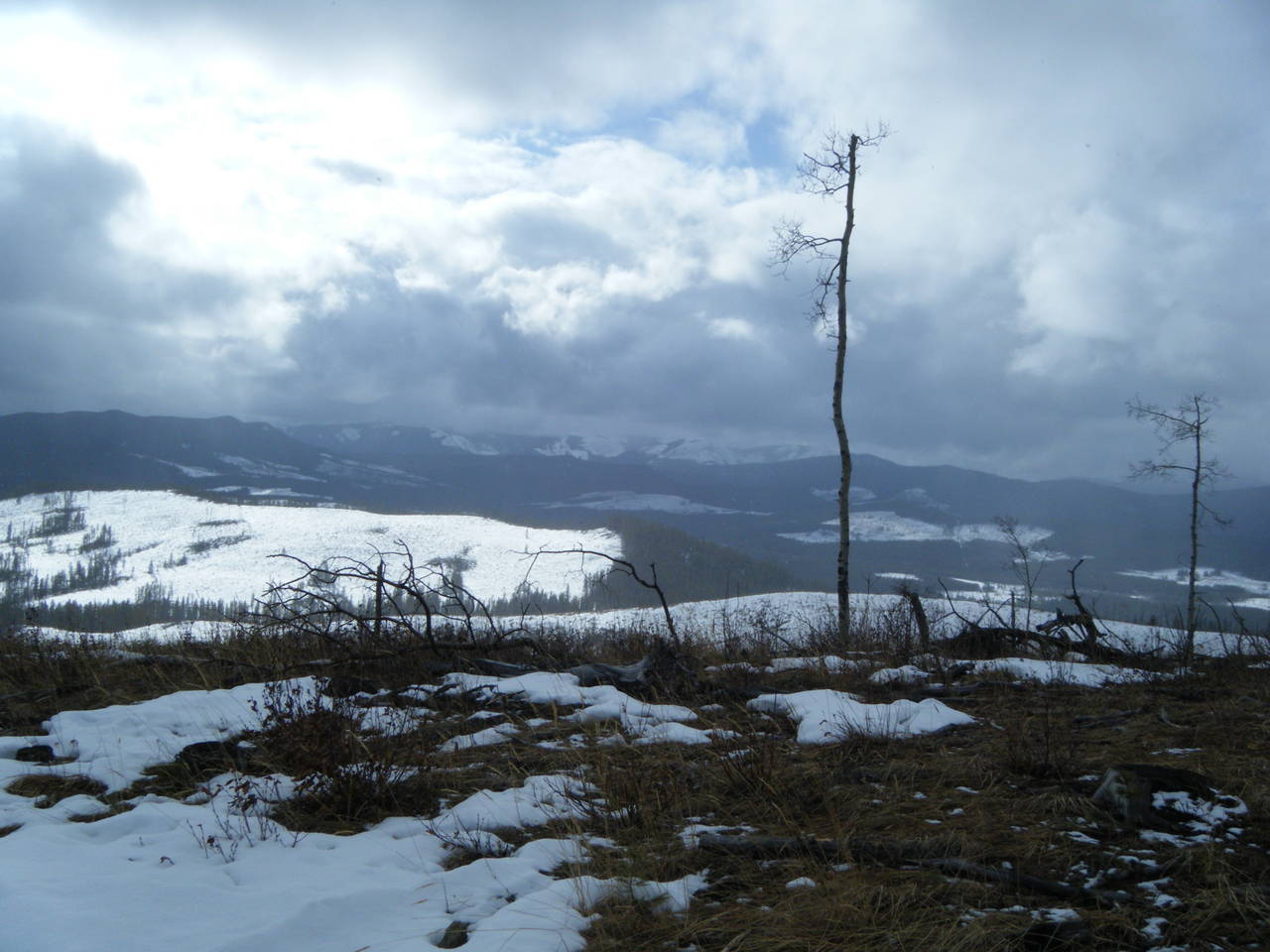Quad_Feb_15_2010_015