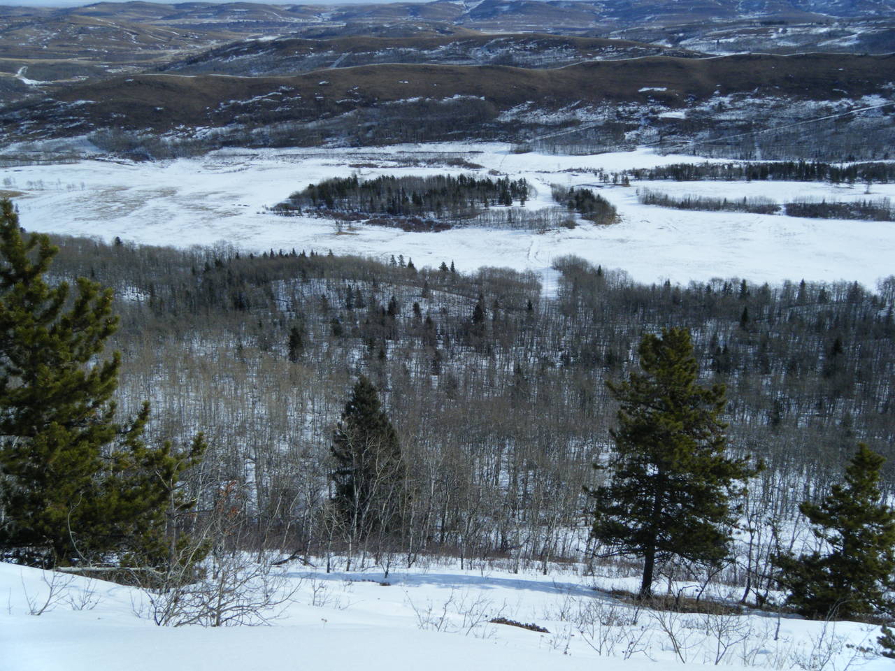 Quad_Feb_27_021