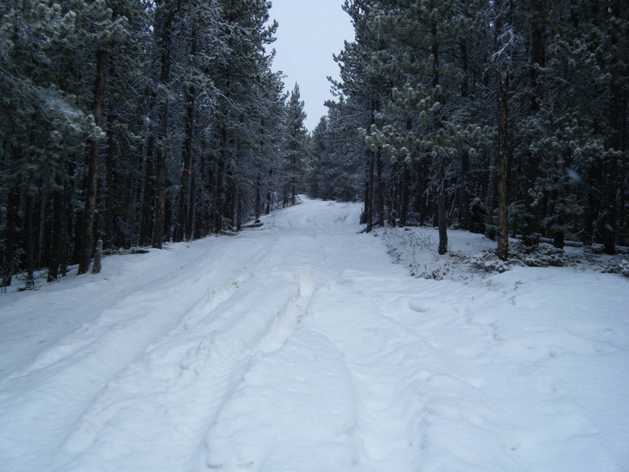 Quad_Jan_23_2010_028