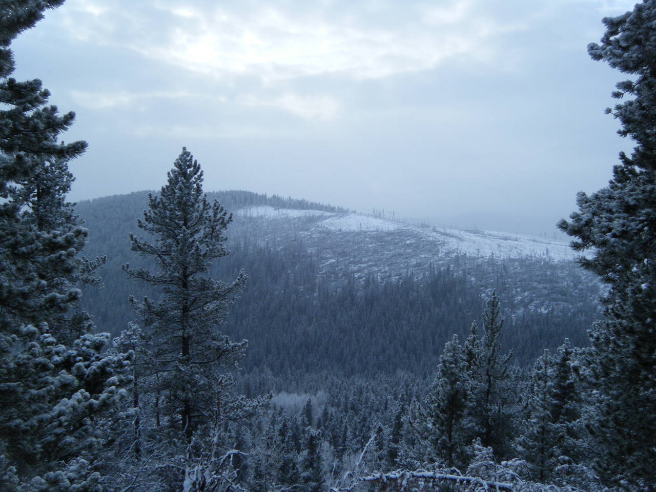 Quad_Jan_23_2010_031