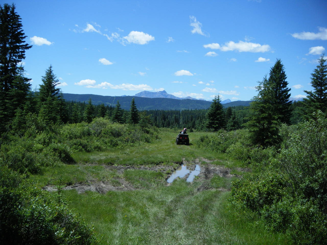 Quad_July_17_2010_031
