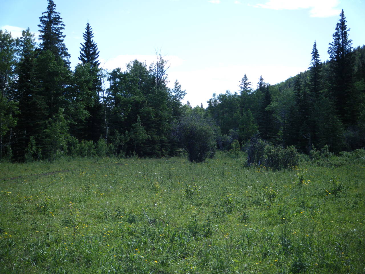 Quad_July_23_2011_008