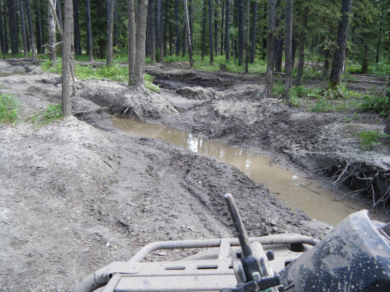 Quad_July_9_2011_013
