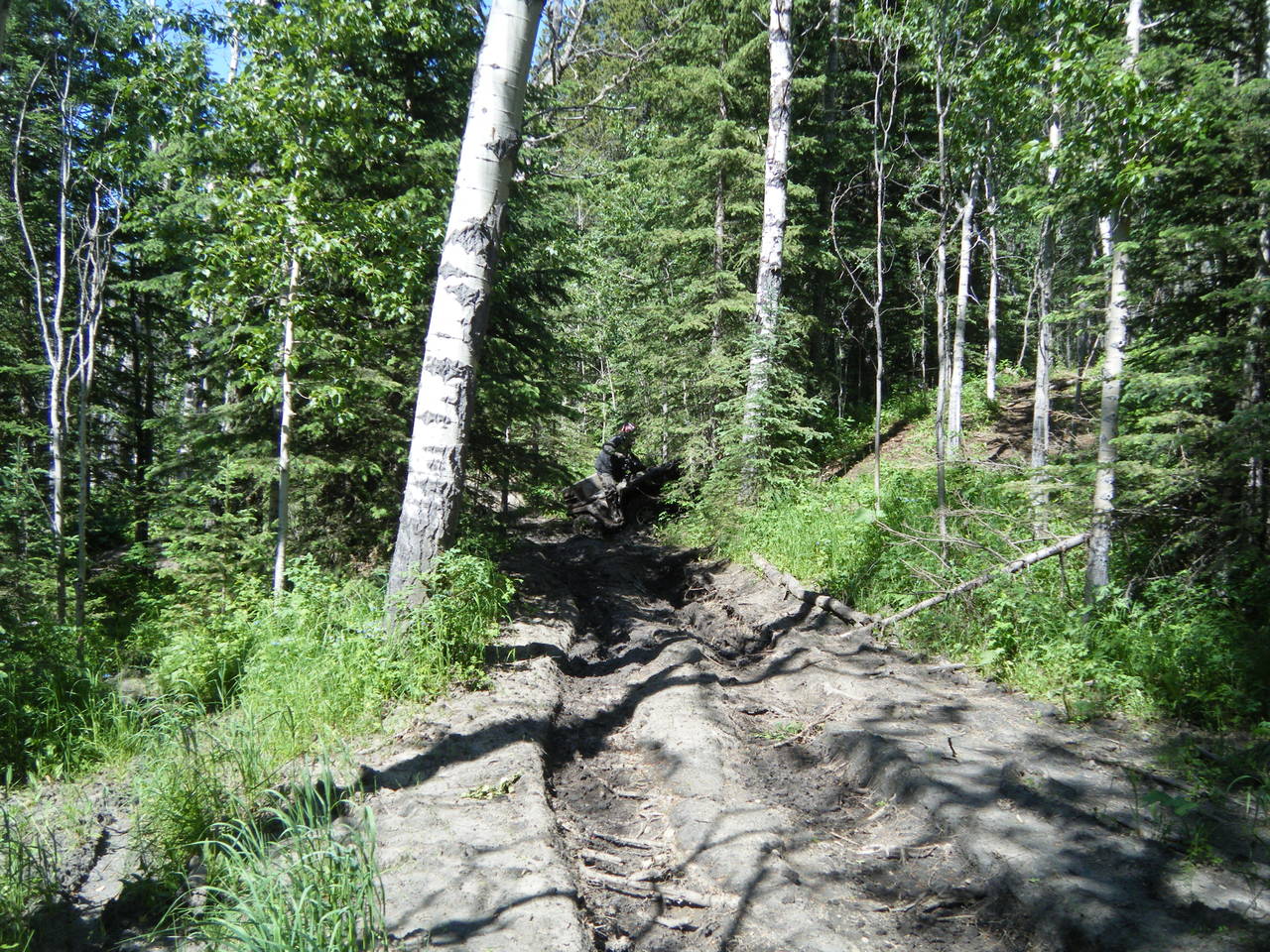 Quad_July_9_2011_019