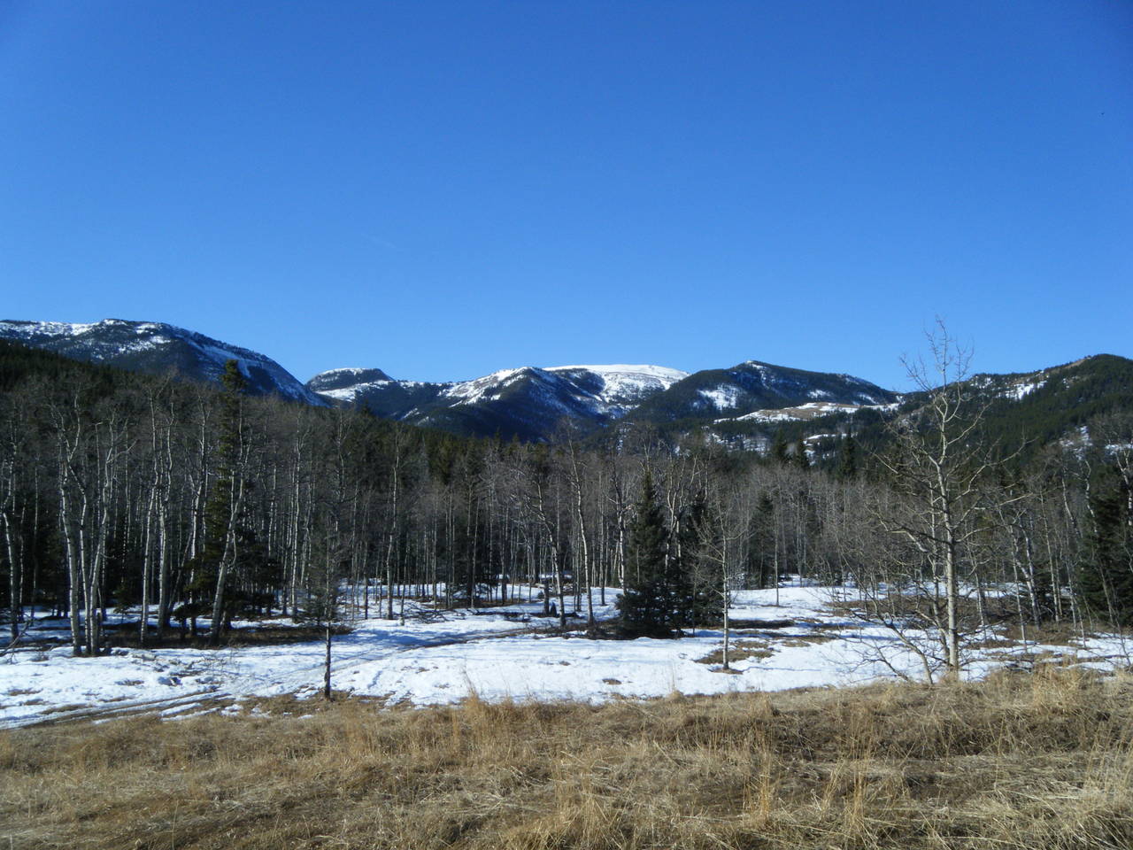 Quad_March_14_2010_011