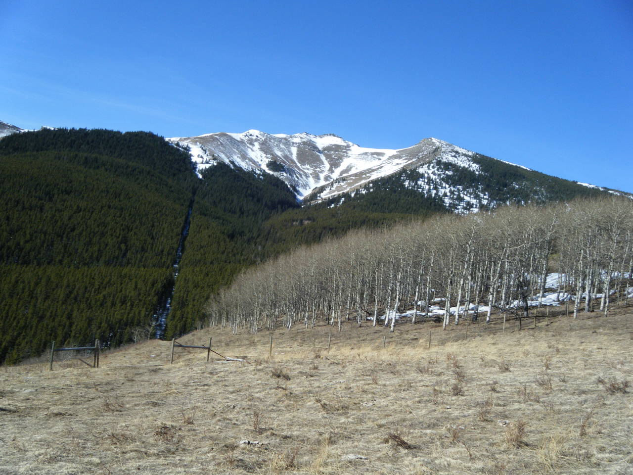 Quad_March_14_2010_016