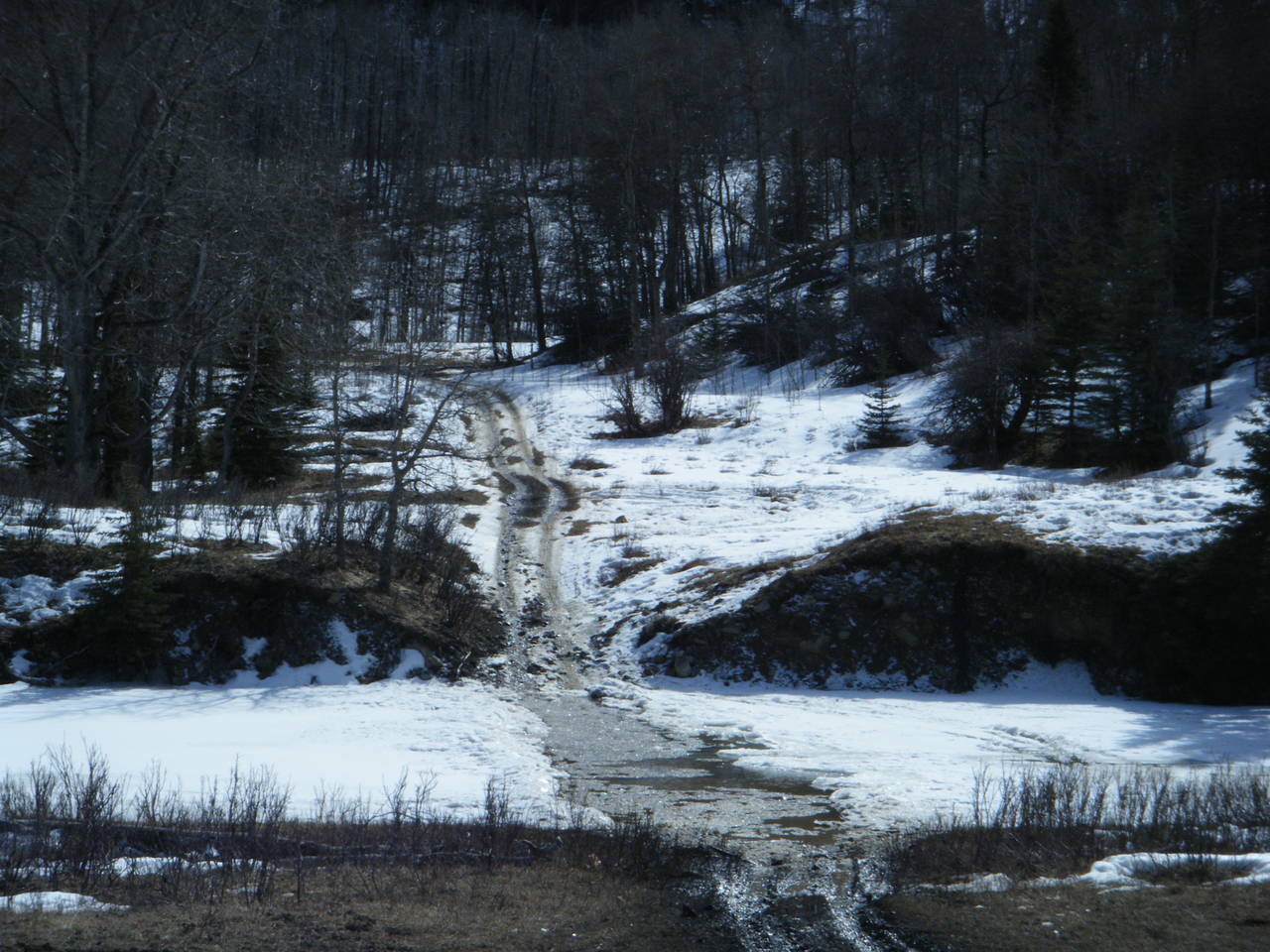 Quad_March_14_2010_024