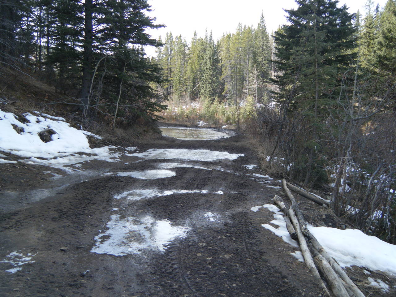 Quad_March_27_2010_001