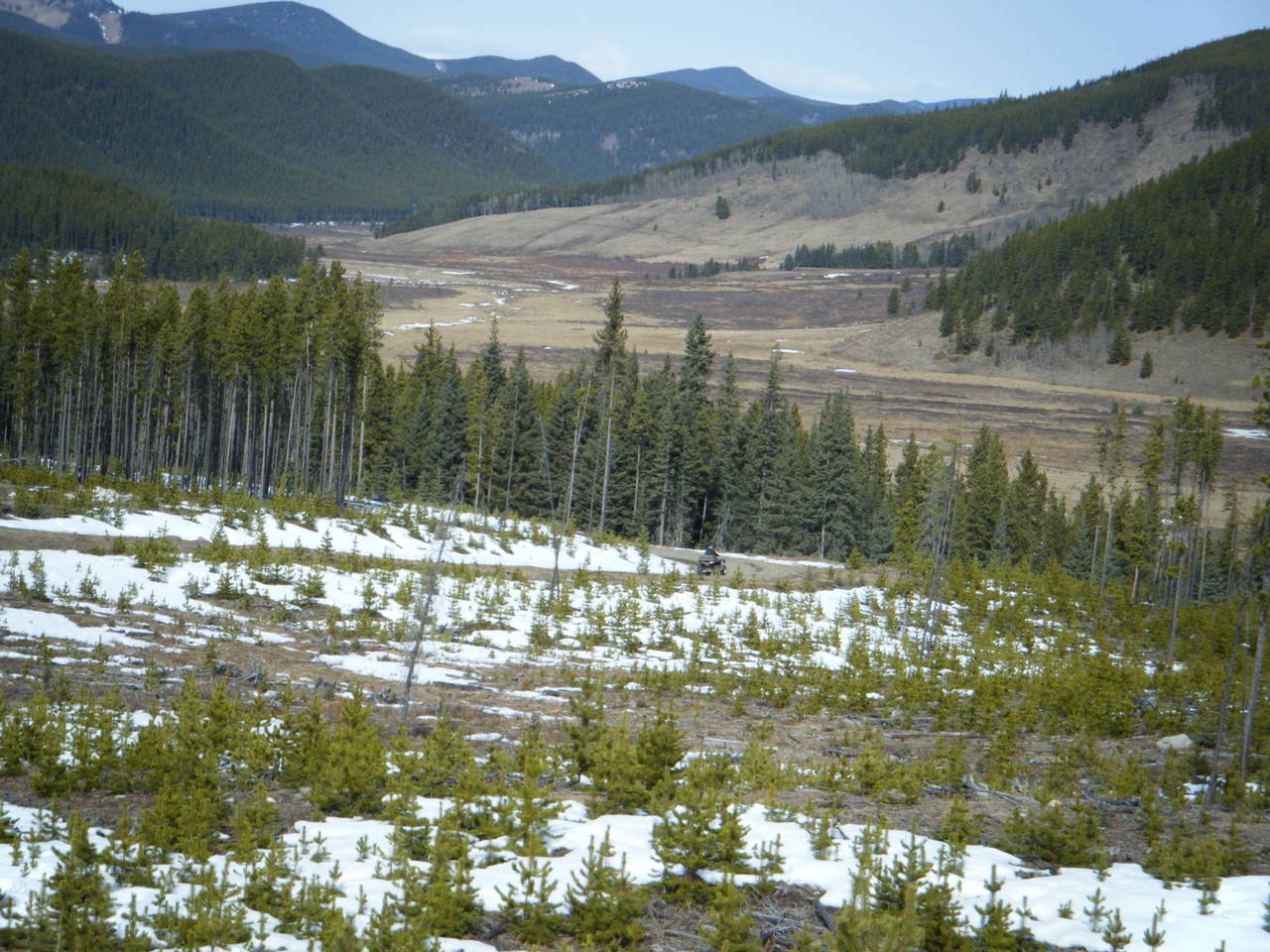 Quad_March_27_2010_015