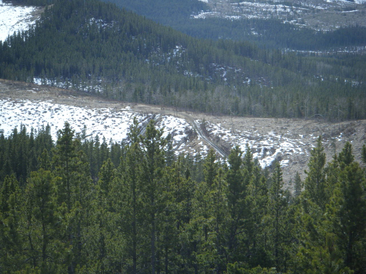 Quad_March_27_2010_037