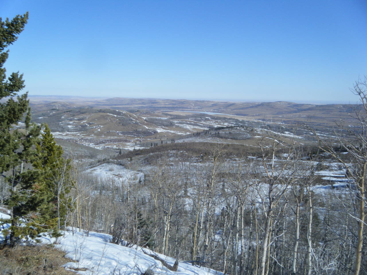 Quad_March_5_2010_012