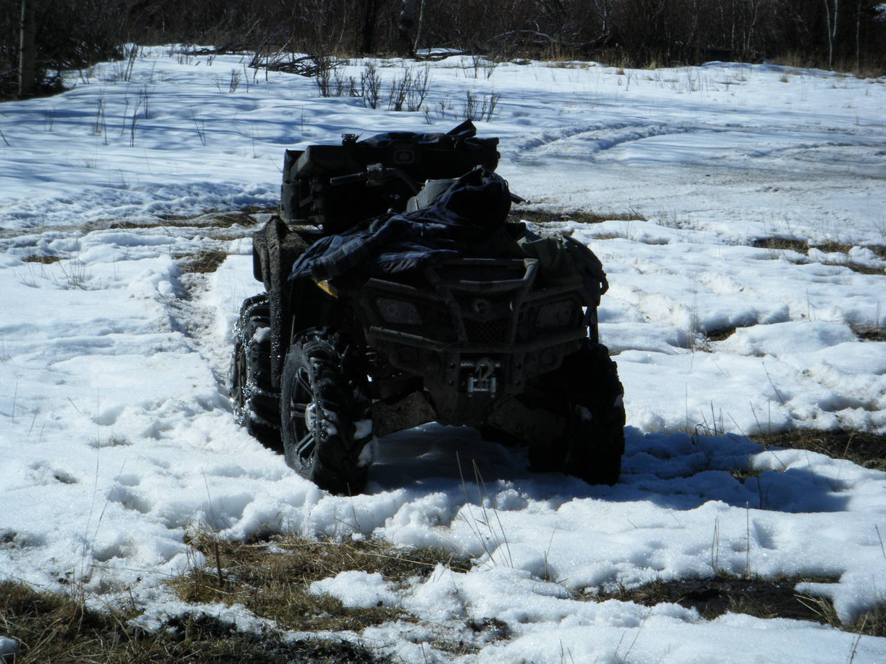 Quad_March_5_2010_031