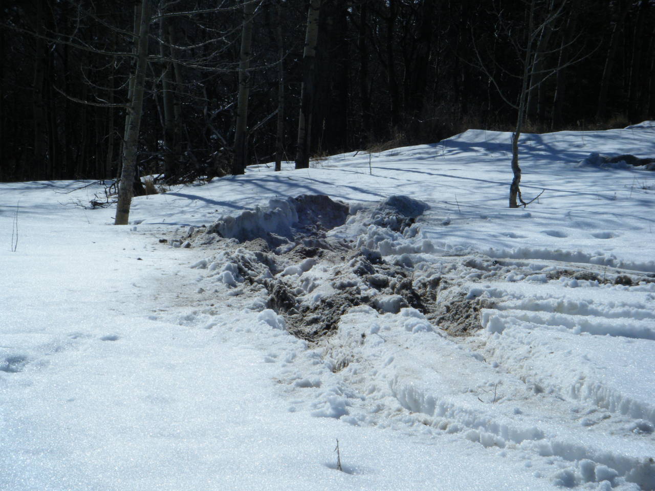 Quad_March_5_2010_034