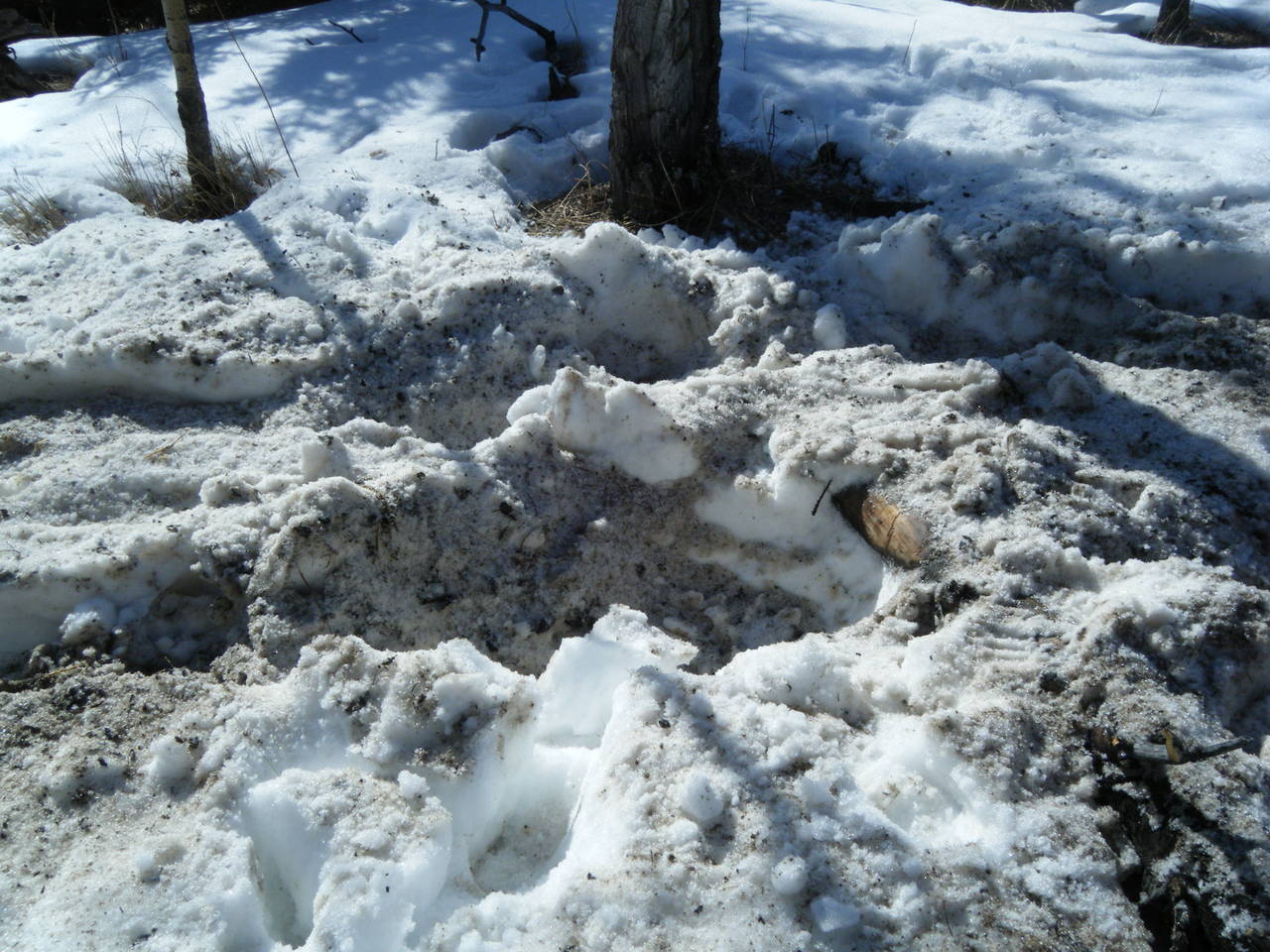 Quad_March_5_2010_036