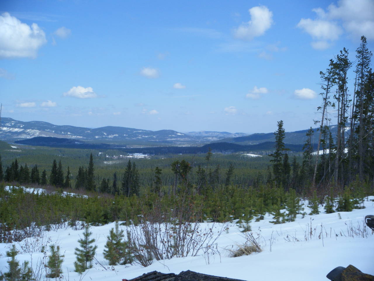 Quad_May_8_2010_005