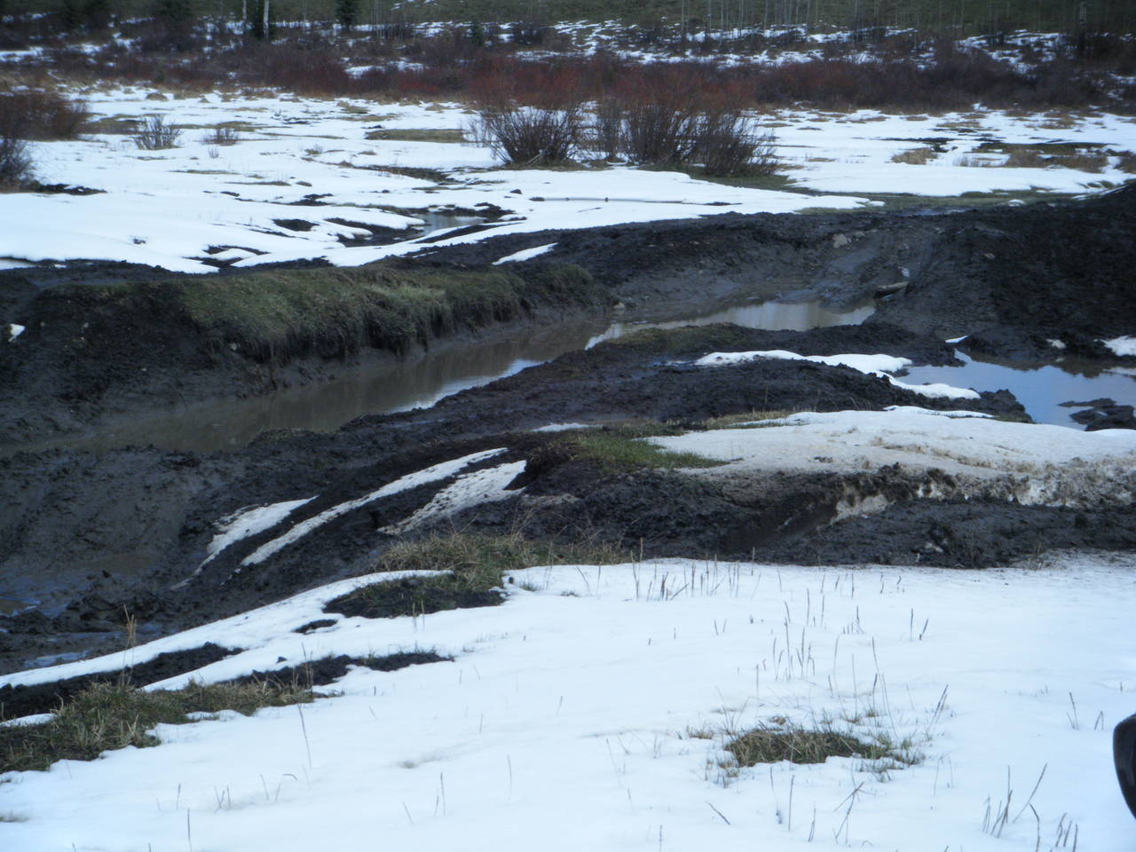 Quad_May_8_2010_015