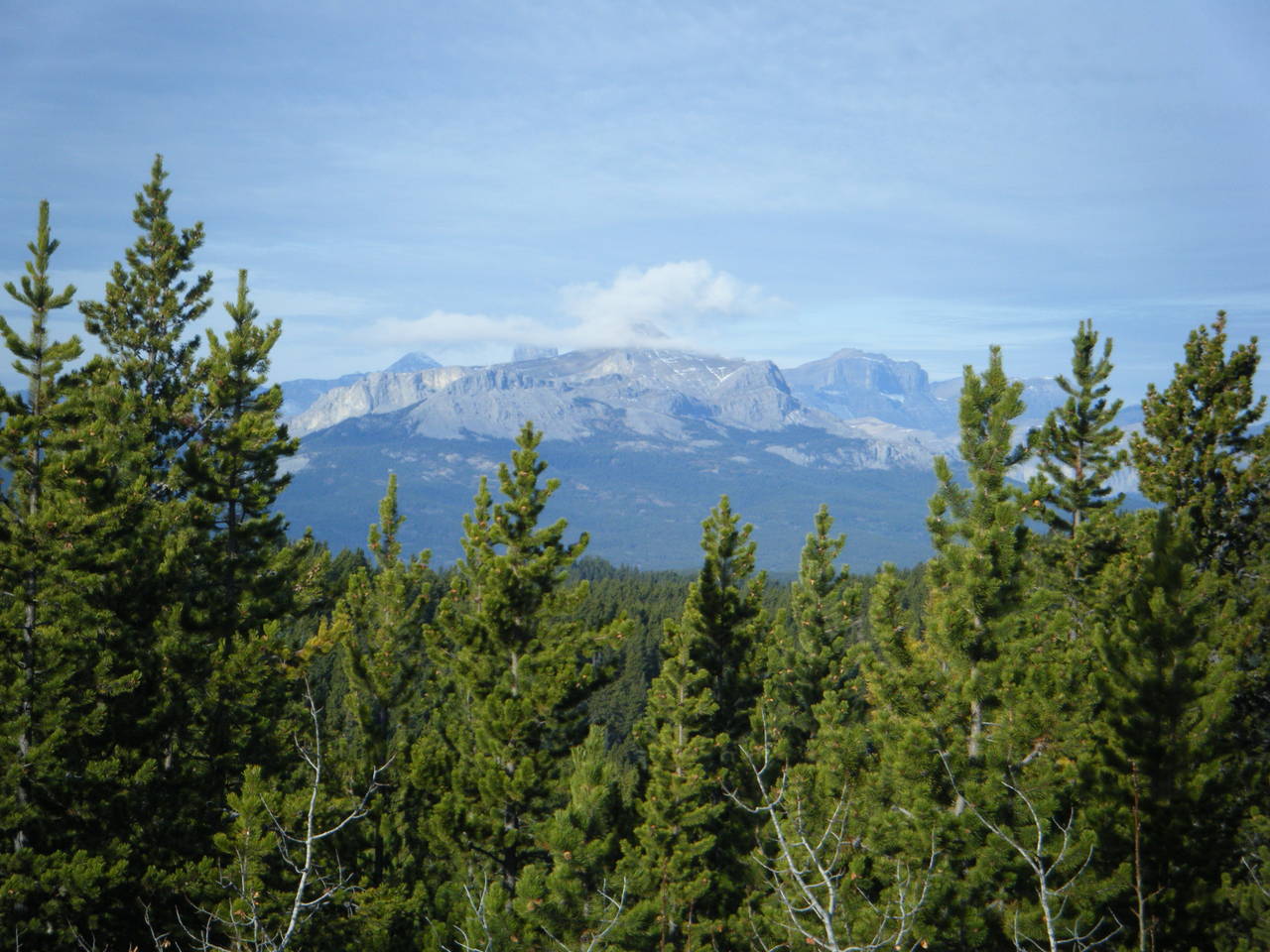 Quad_Oct_23_2010_003