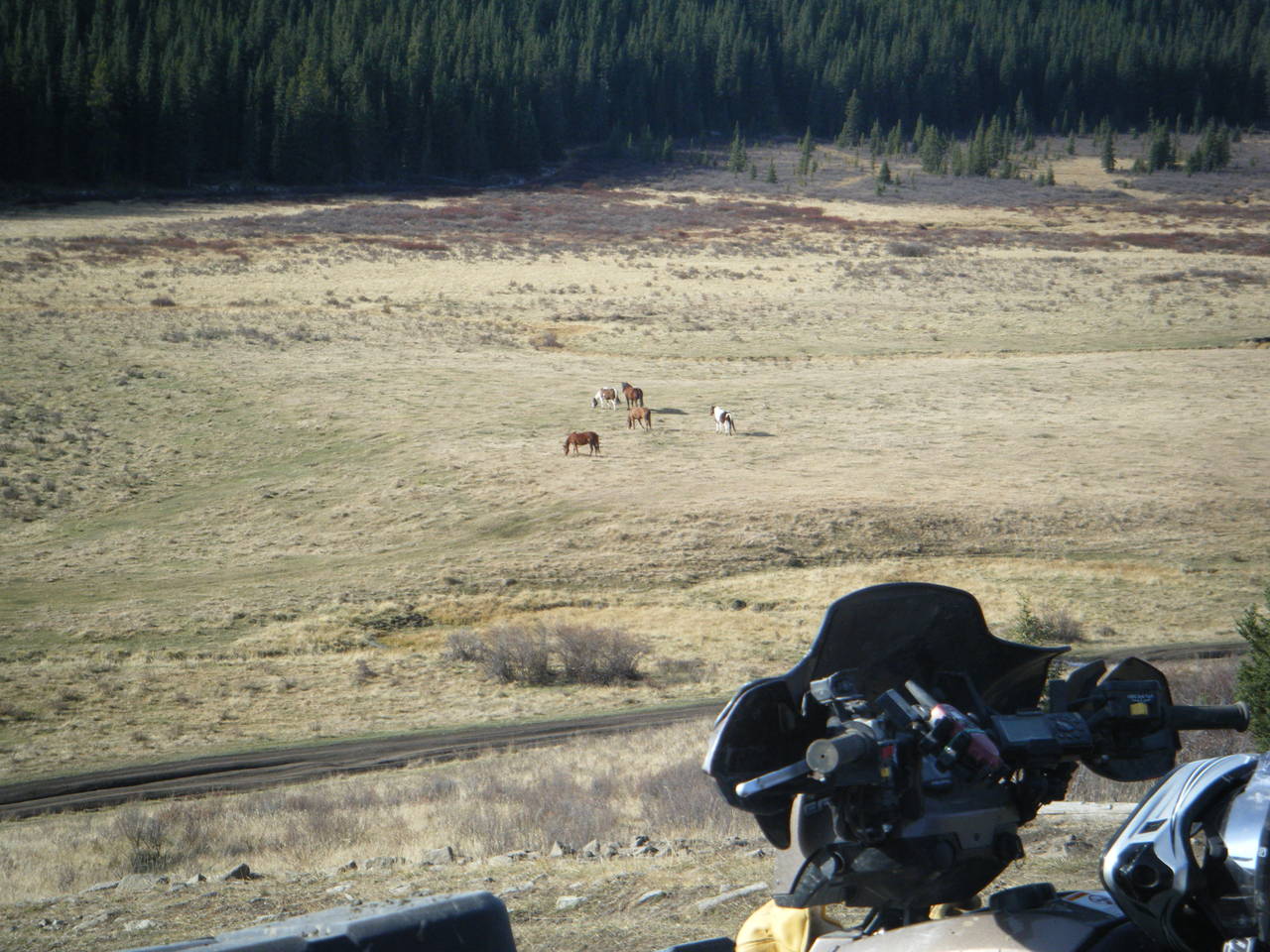 Quad_Oct_23_2010_016