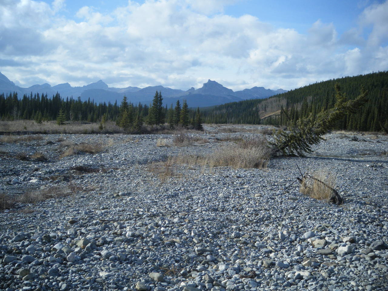 Quad_Oct_23_2010_038