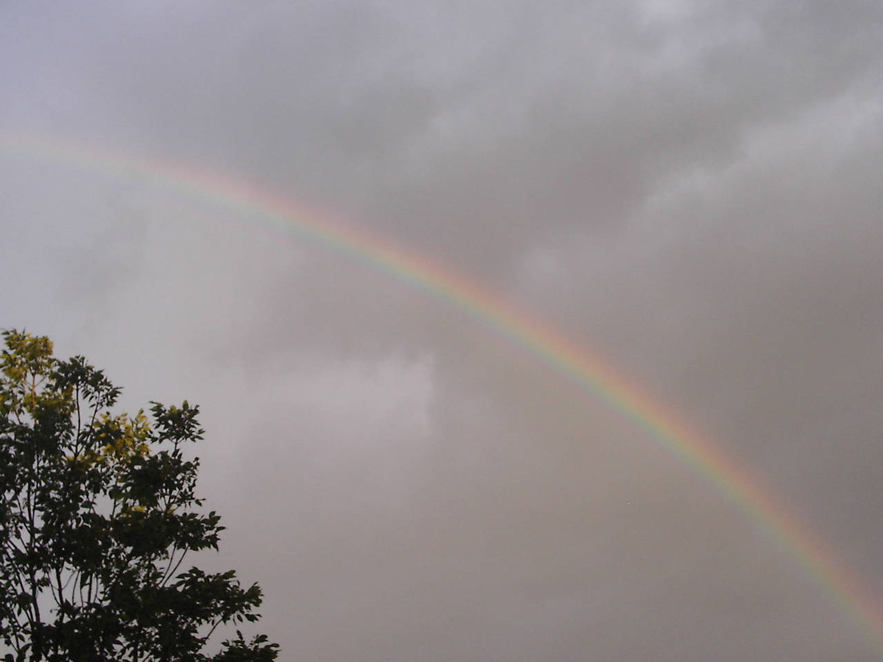 Rainbow 3