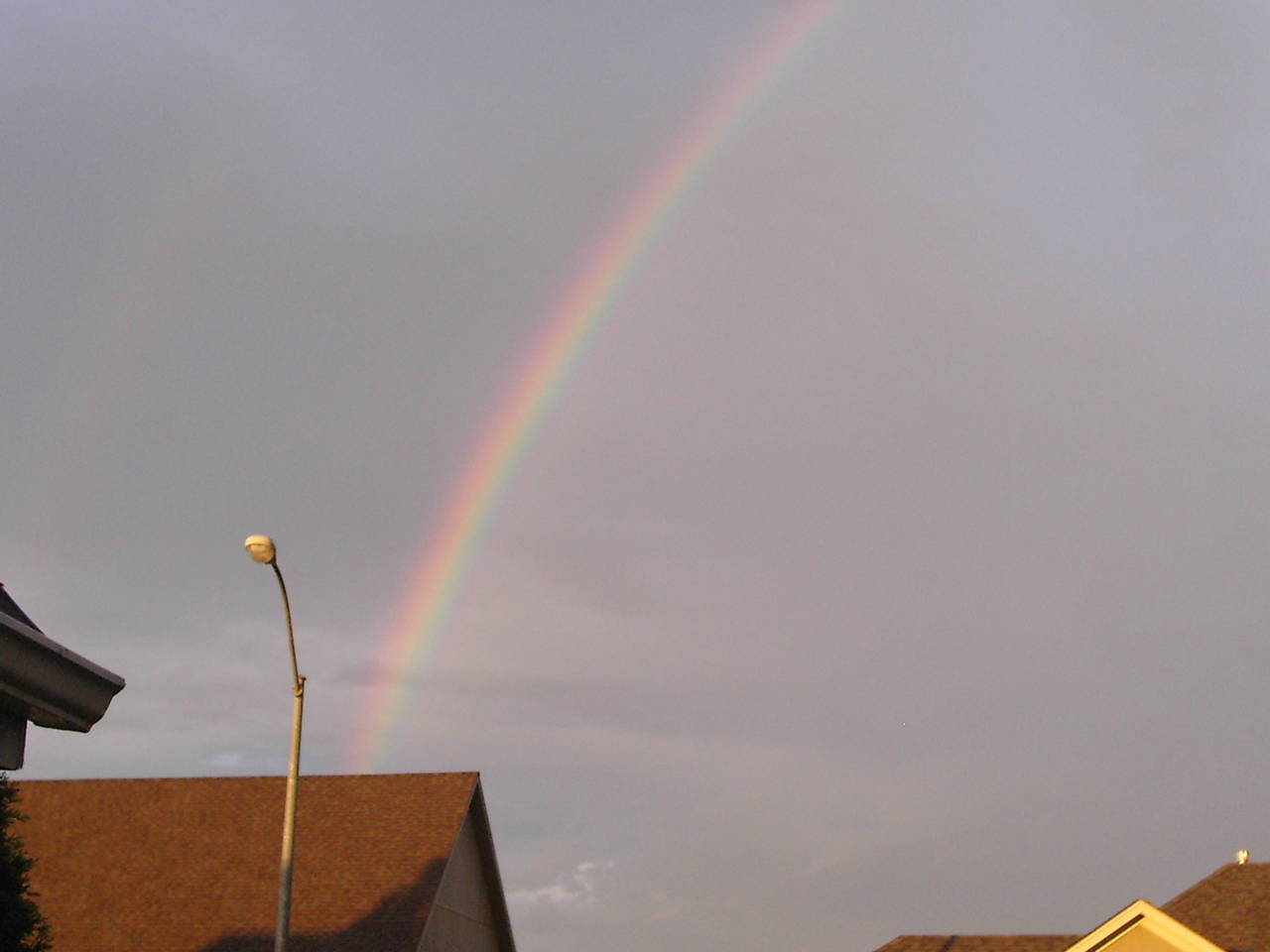 Rainbow 4