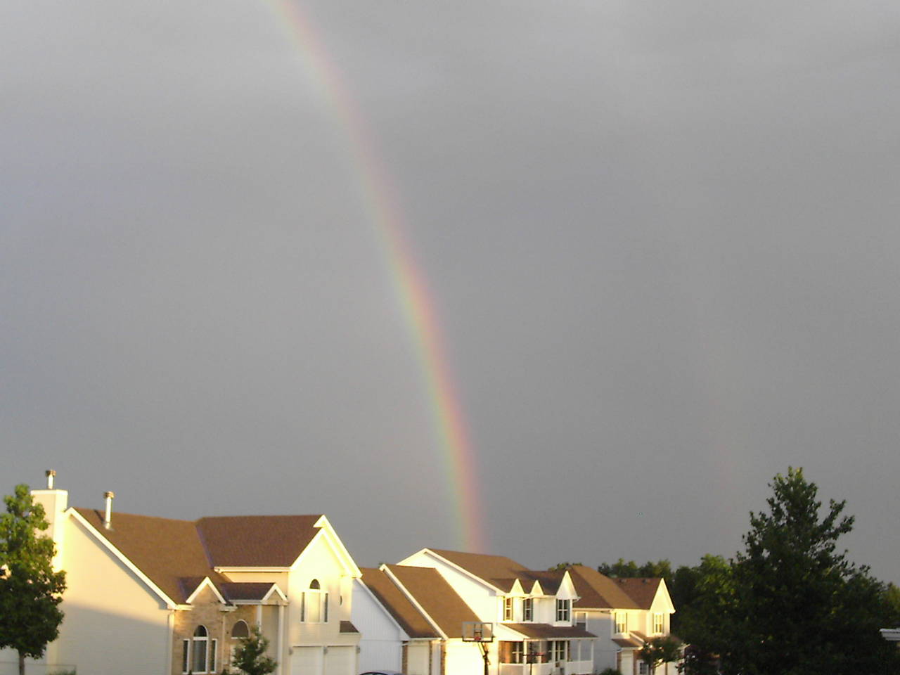 Rainbow 5