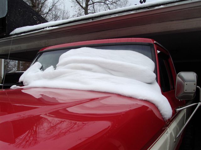 Red_wrinkled_snow