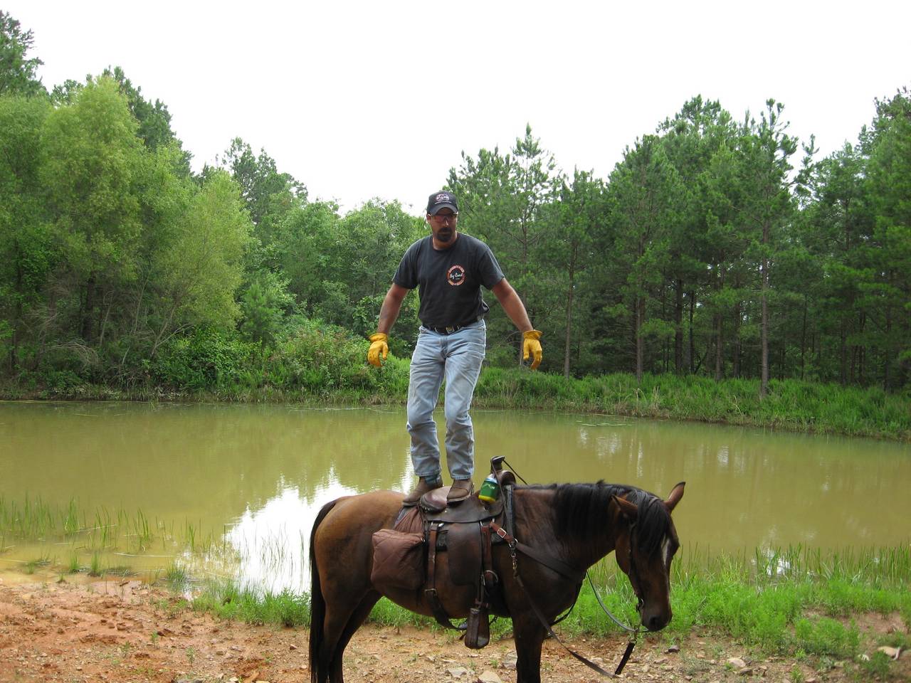 saddle surfing