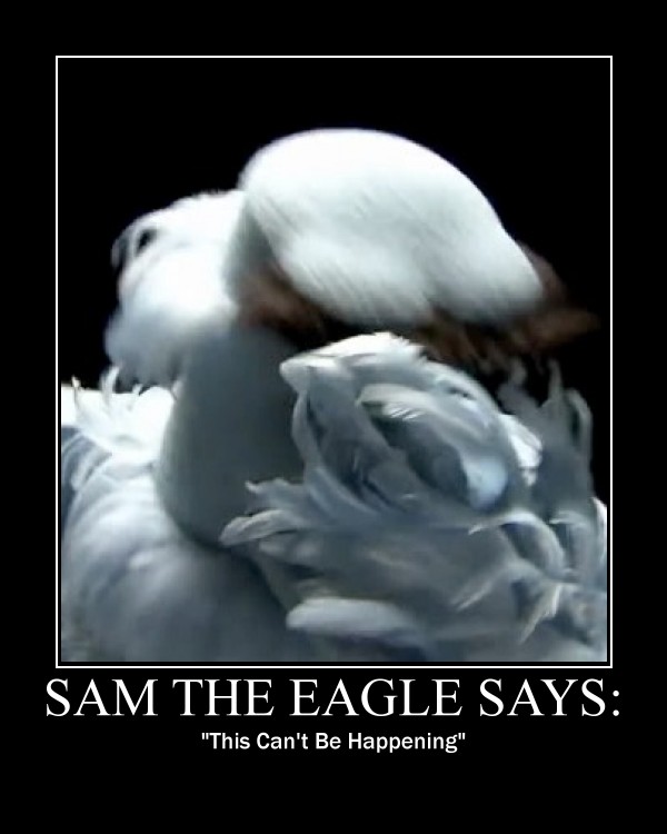 sam_the_eagle_facepalm