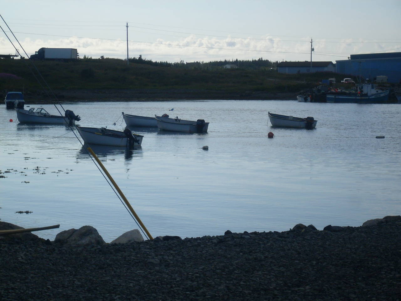 SDC14718
