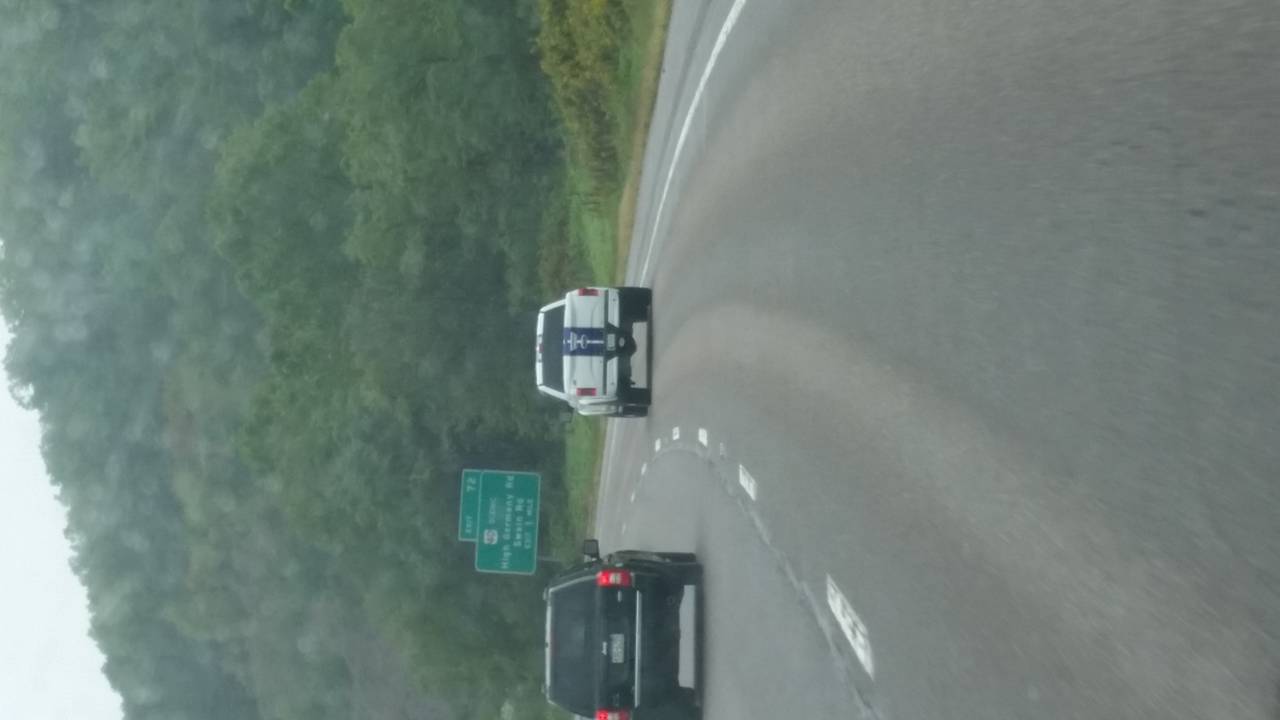 Shelby2