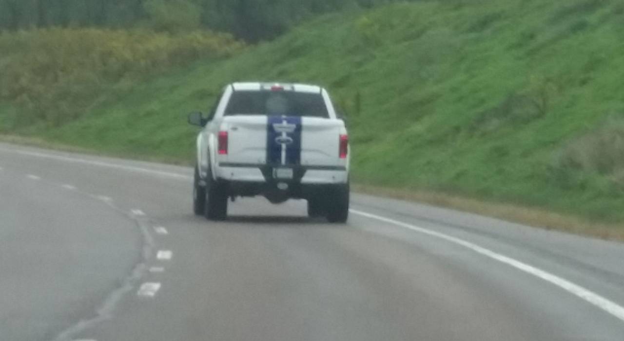 shelby2
