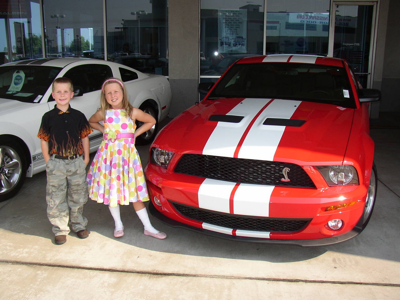 Shelby_GT_500_001