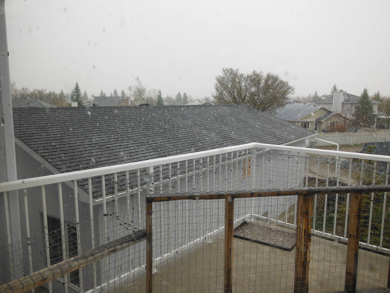 Snow_0011