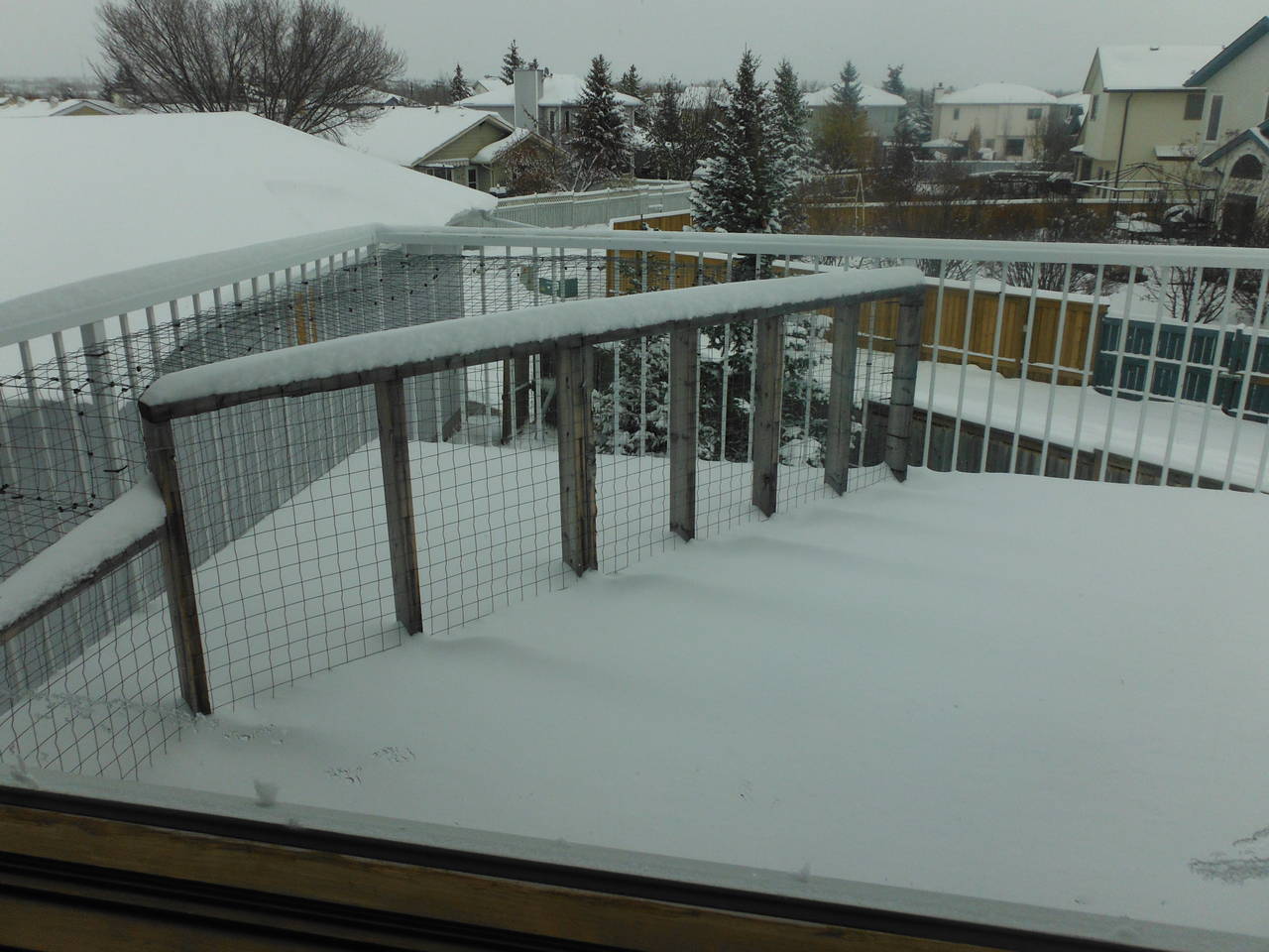 snow_0012