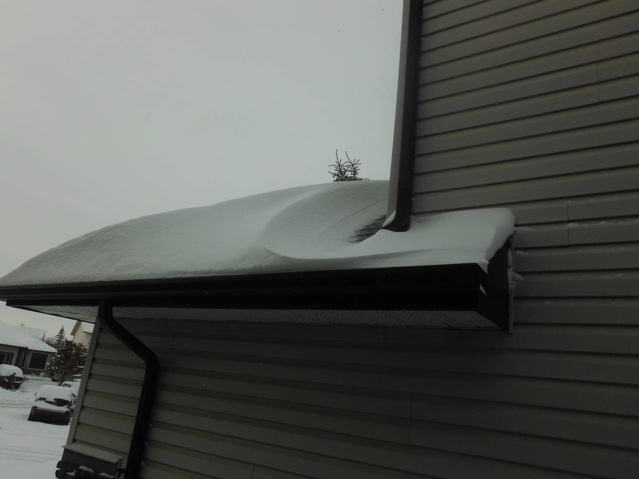 snow_002
