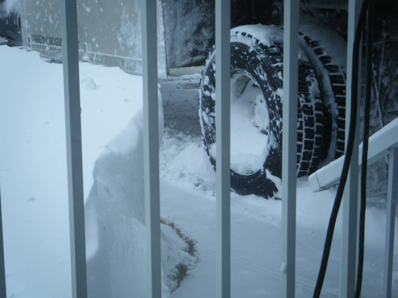 snow_003