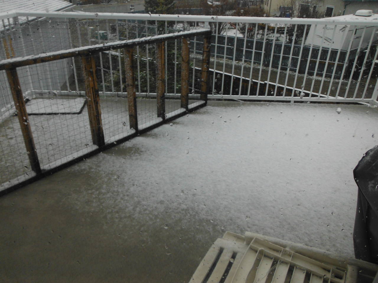 Snow_0031