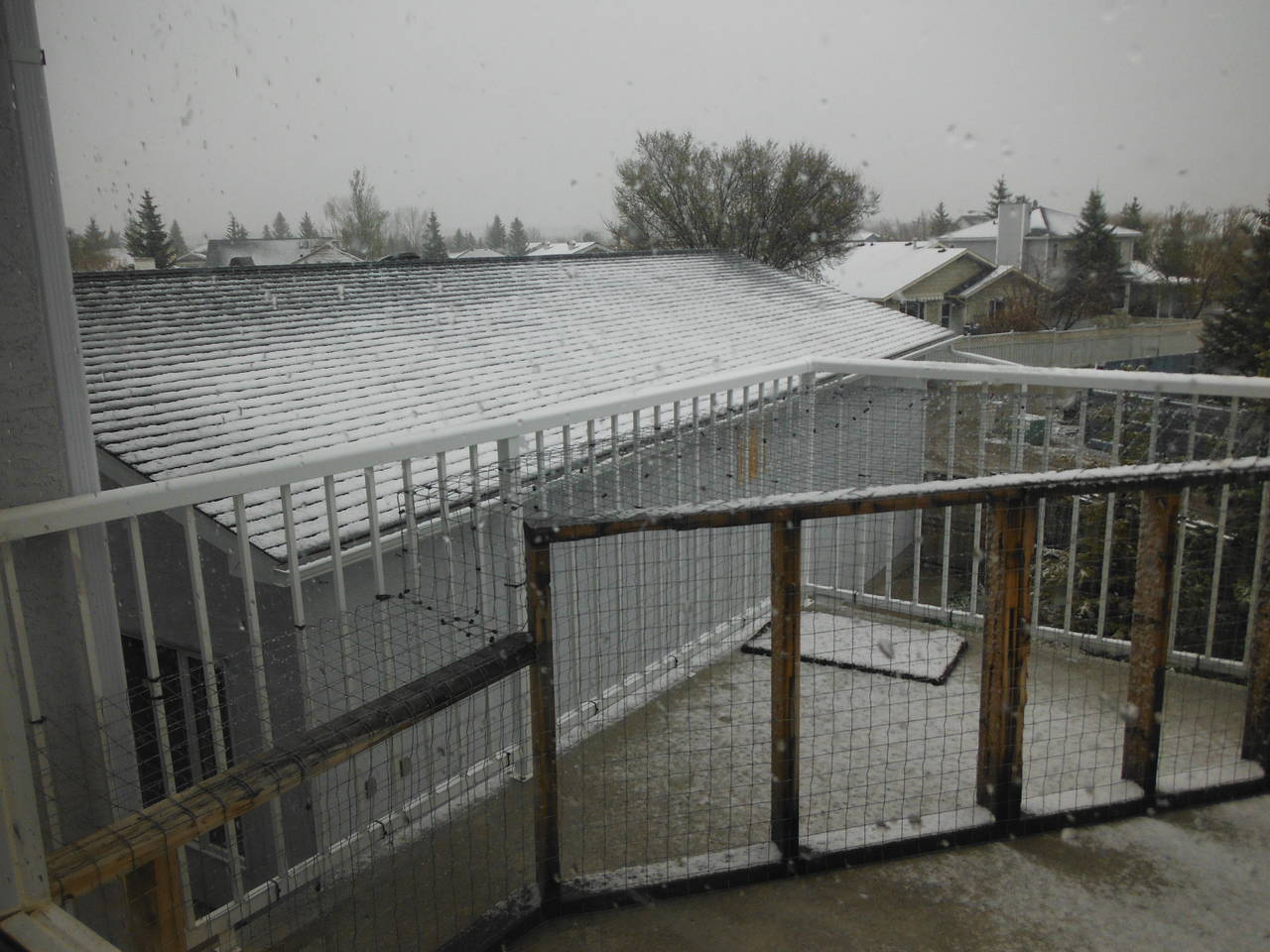 Snow_004