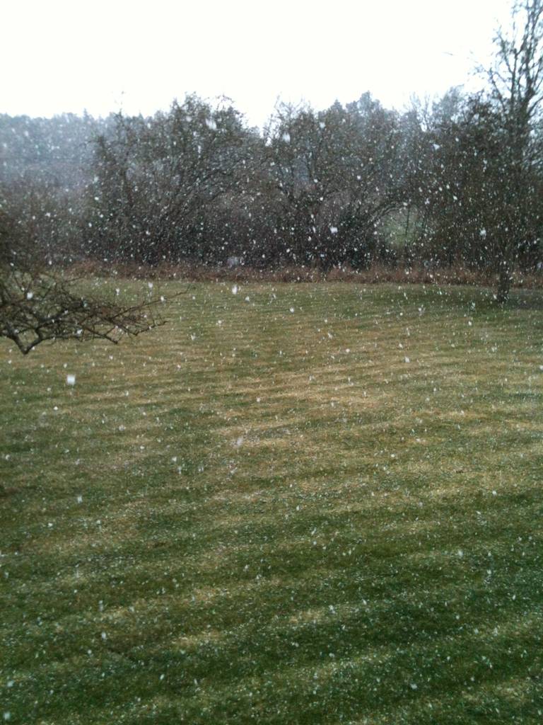 snow_flakes
