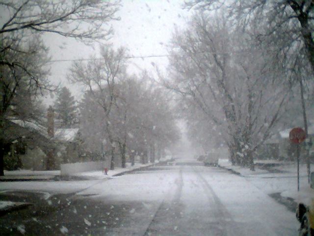 spring in montana...