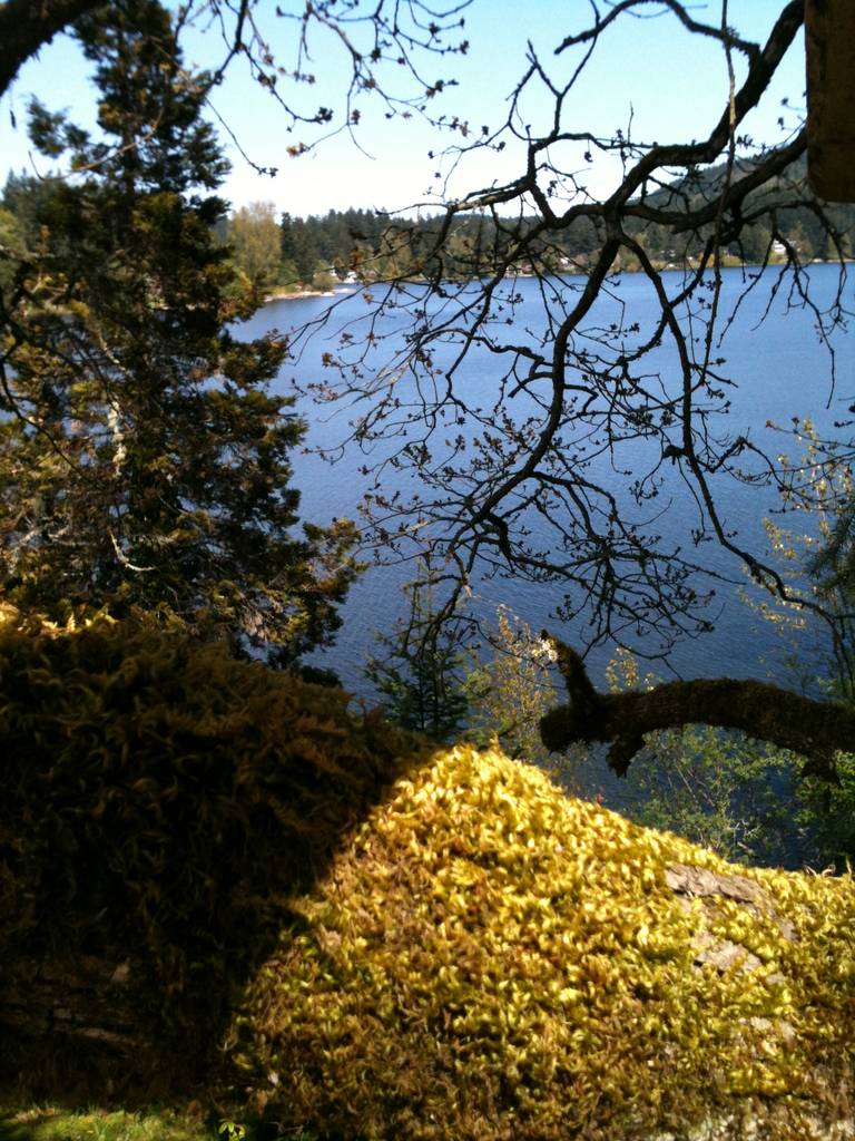 spring_pic_003