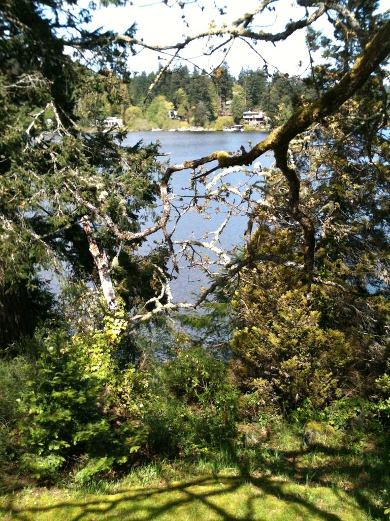 spring_pic_004
