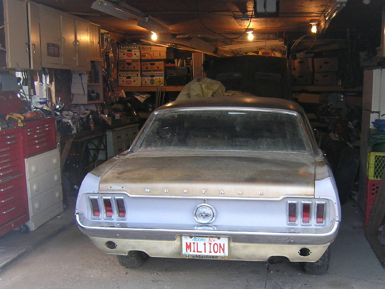 stang_in_garage