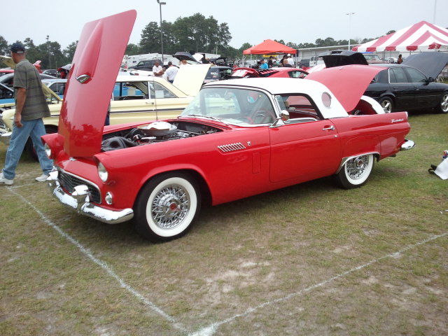 T-Bird_11