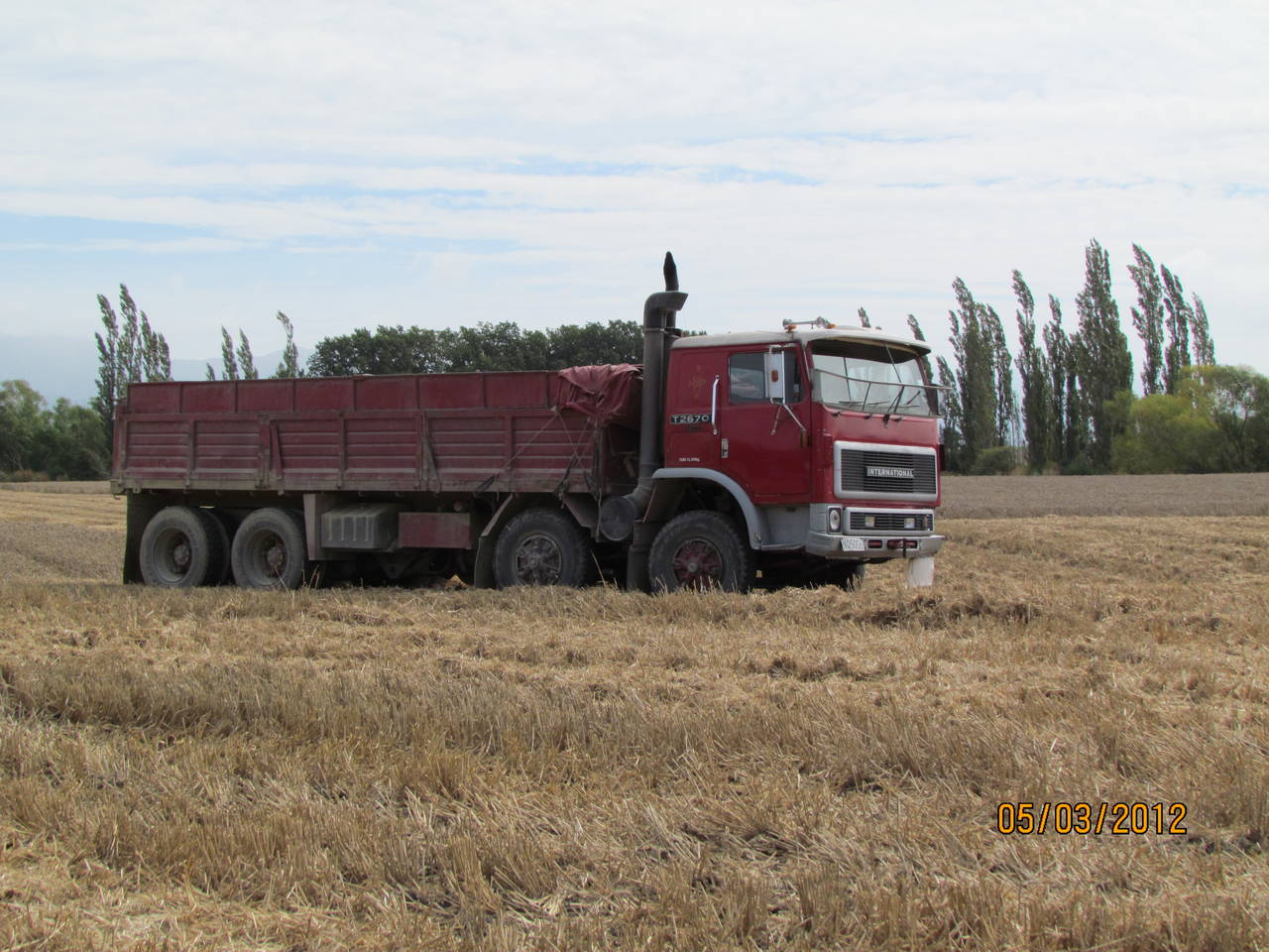T Liner