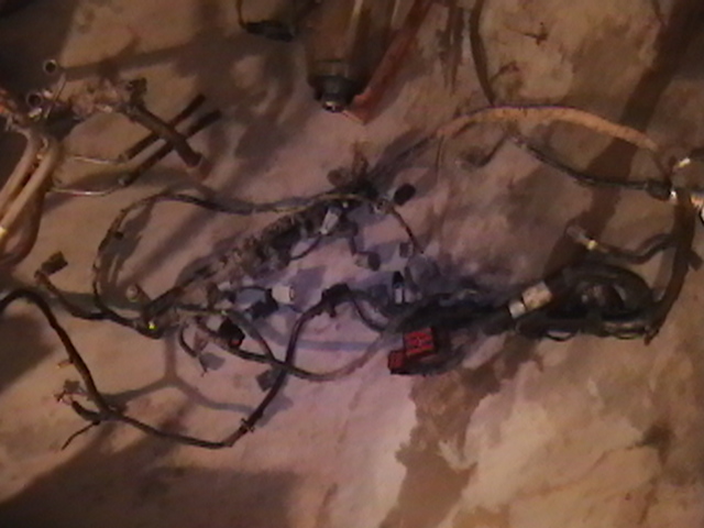 The entire wiring harness on a 2002 5.4l